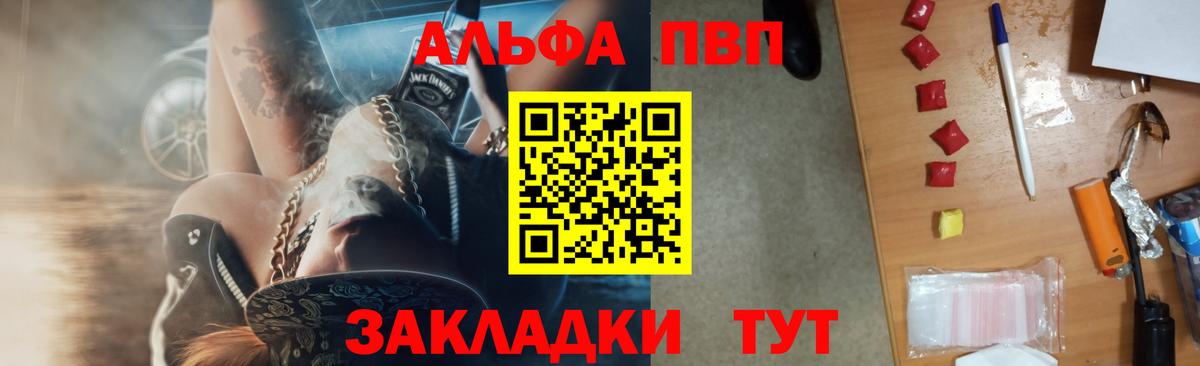 Alfa_PVP СК КРИС Геленджик