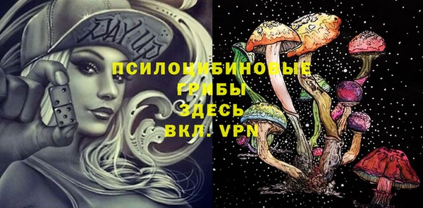 тгк Алзамай