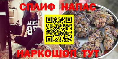 PSILOCYBIN Павлово