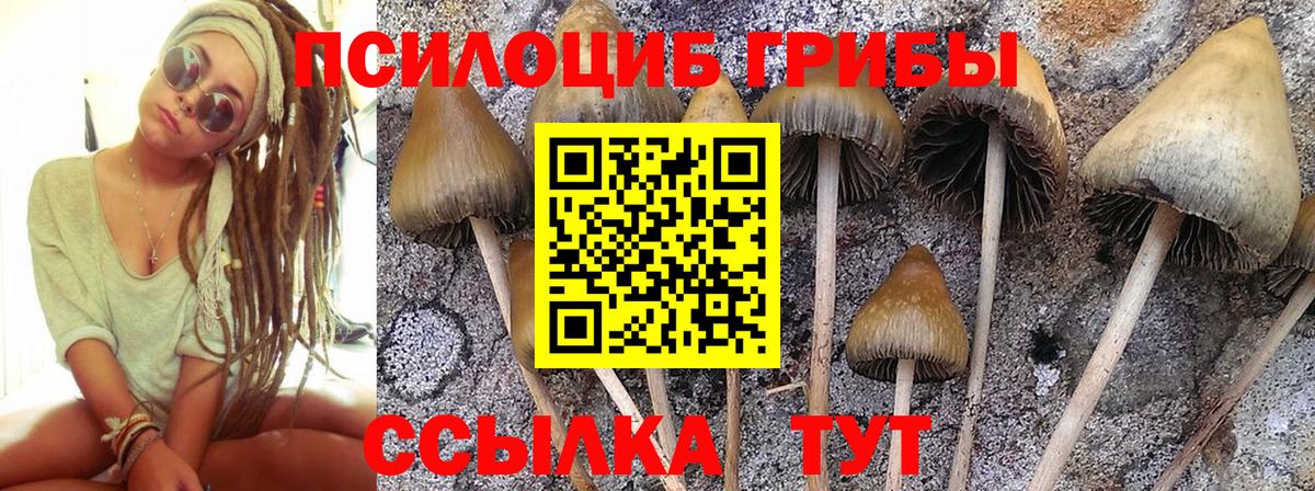 Галлюциногенные грибы MAGIC MUSHROOMS Геленджик